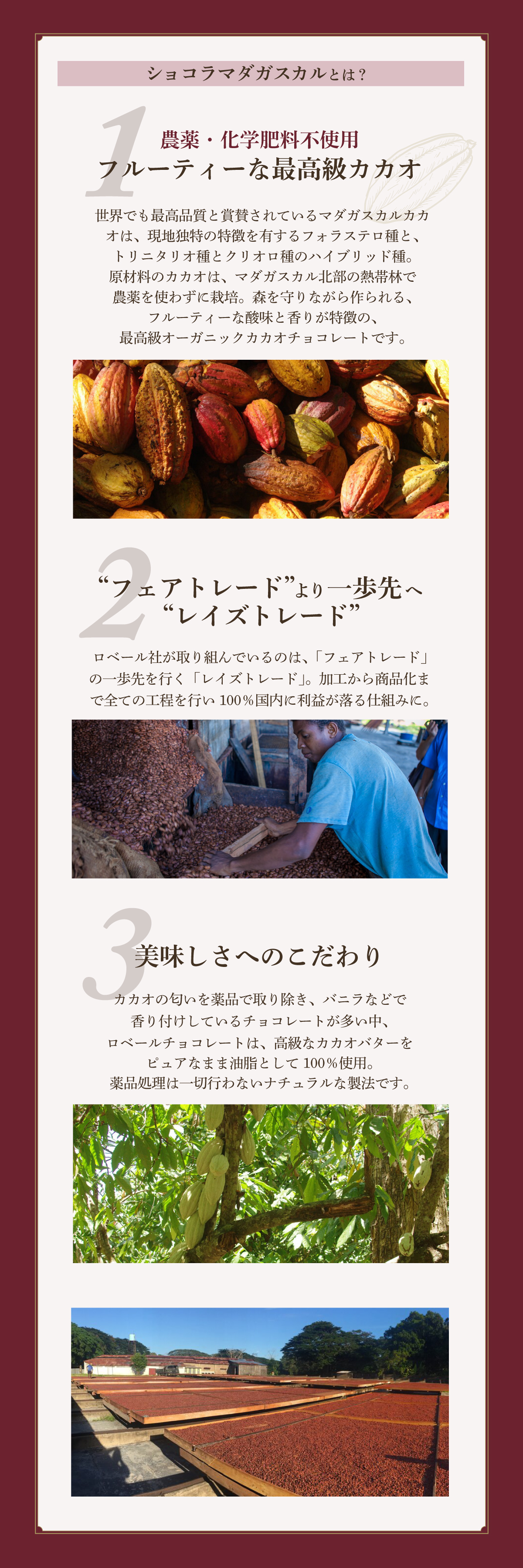 マダガスカルショコラとは