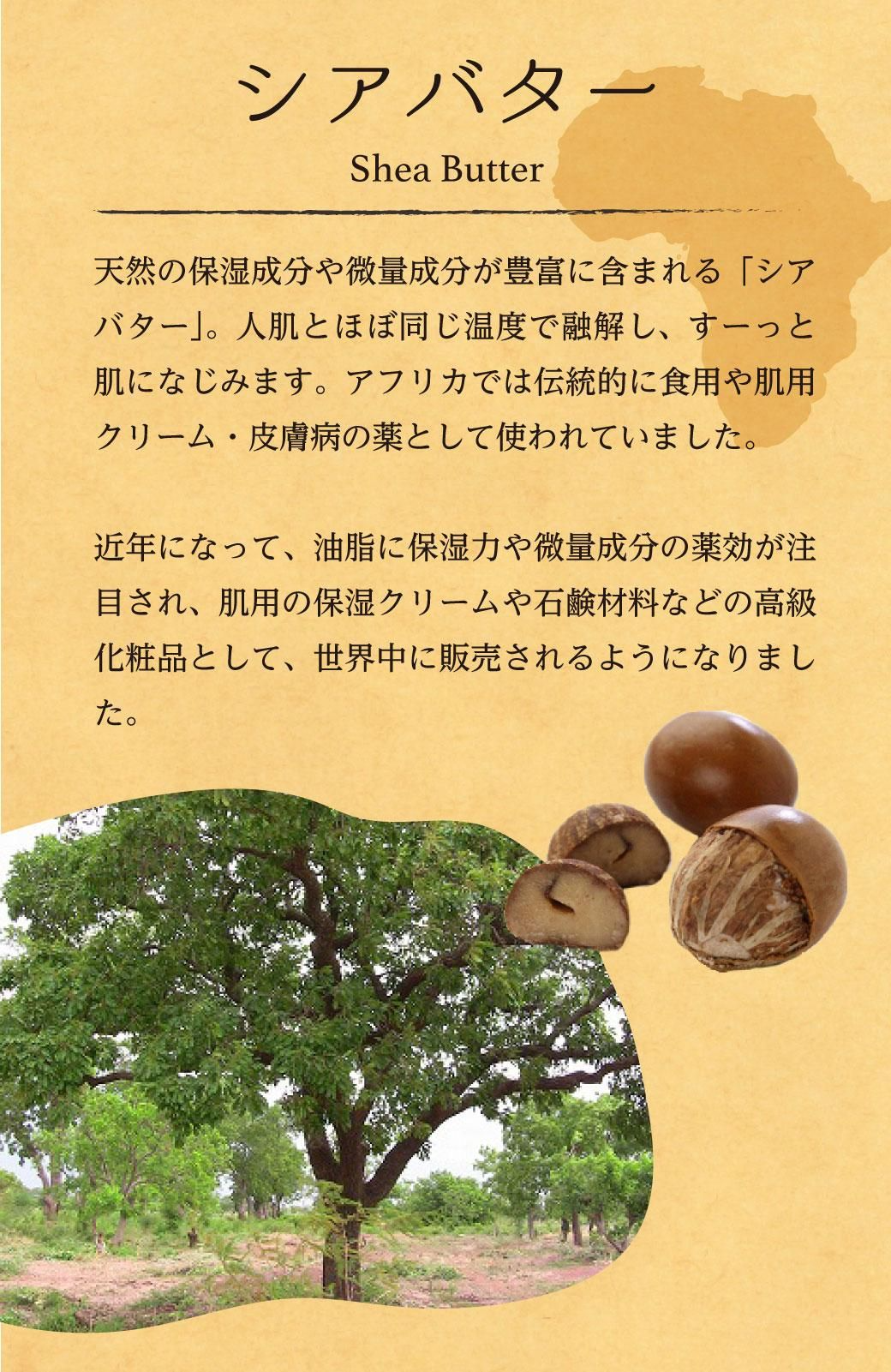 シアバター共通イメージ