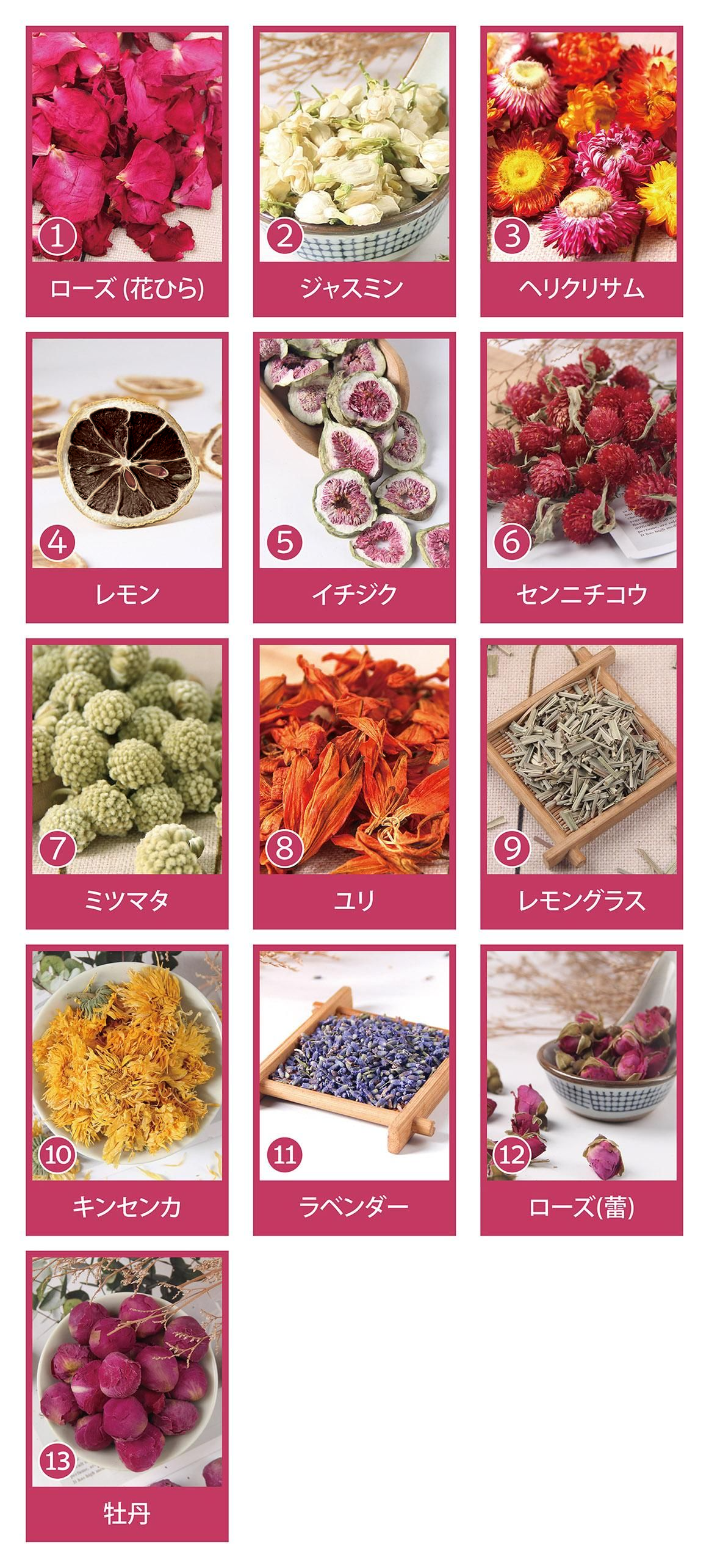 ドライフラワー一覧