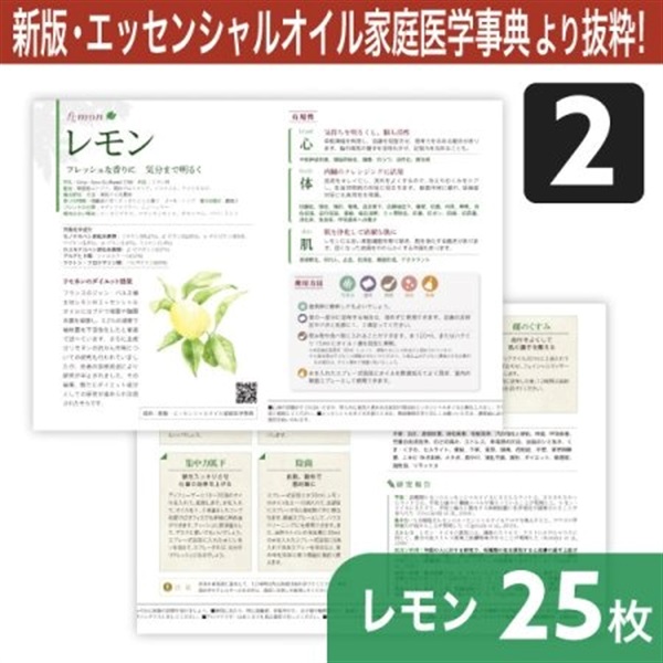 サンプリングリーフレット単品(シングルオイル)25枚[全4種] (レモン)
