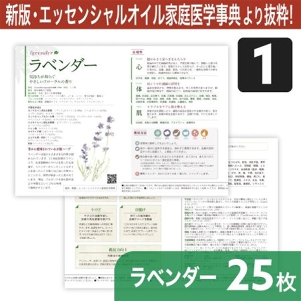 サンプリングリーフレット単品(シングルオイル)25枚[全4種] (ラベンダー)