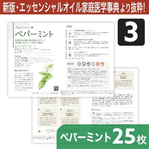 サンプリングリーフレット単品(シングルオイル)25枚[全4種] (ペパーミント )