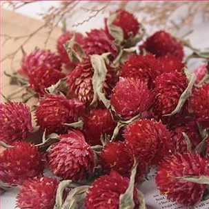 ドライフラワー[全13種](センニチコウ)